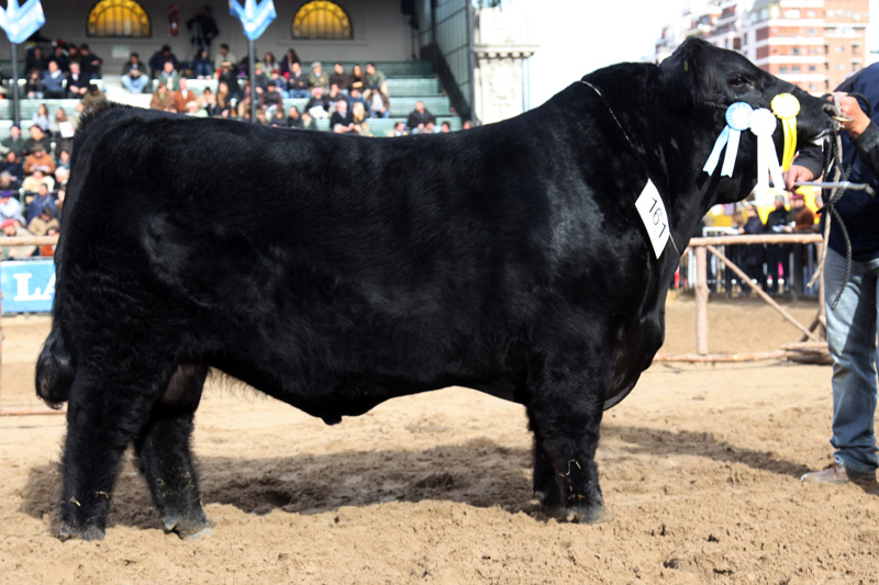 GERENTE, Campeón 2 Años Menor