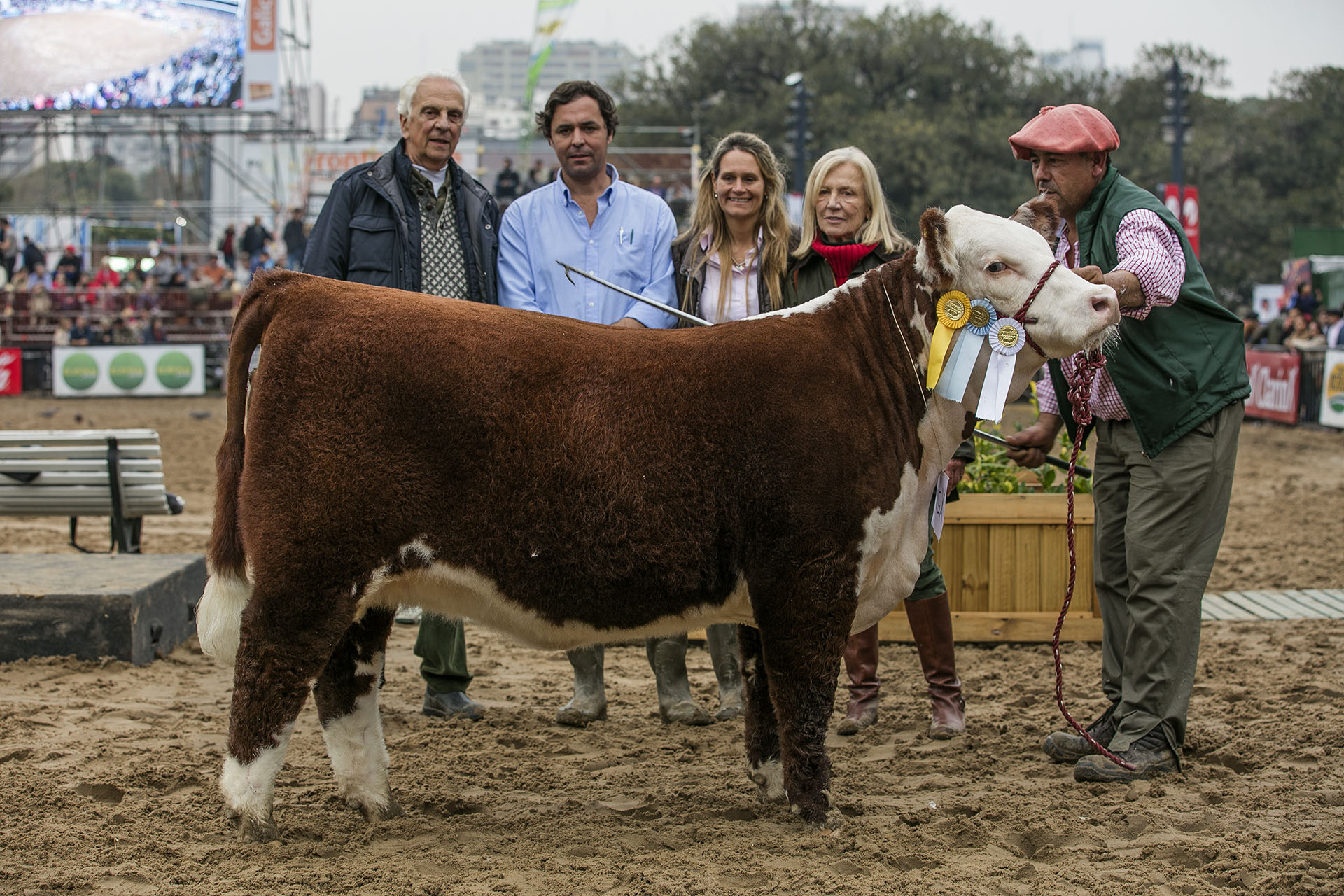 ARBOLEDA, Campeón Ternera Menor – 3er. Mejor Hembra