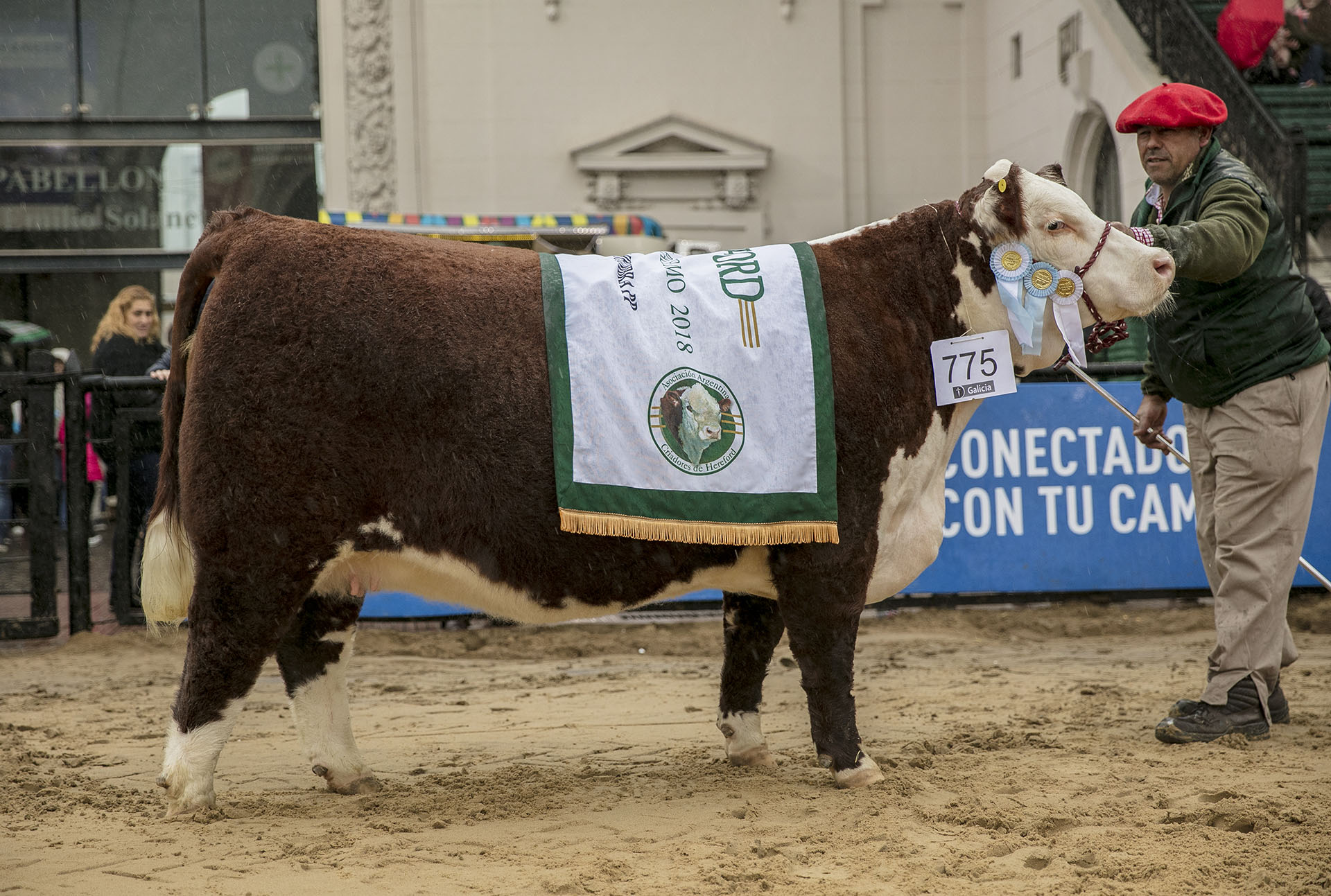 ARBOLEDA, Gran Campeón Hembra