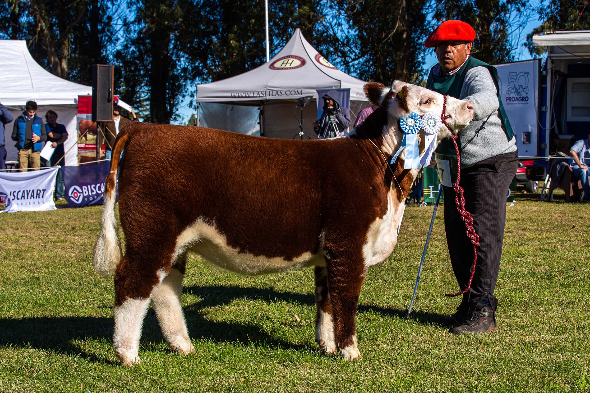 GOOD GIRL, Campeón Ternera Menor