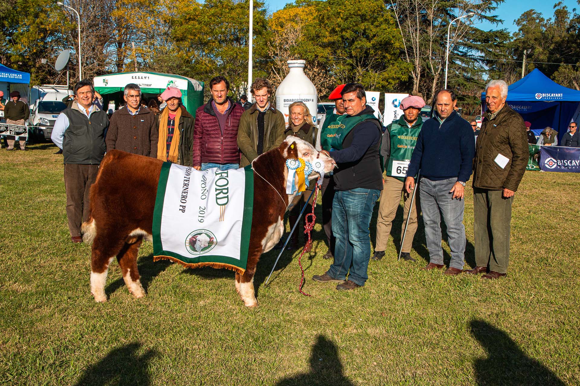 SIR VALIENTE, Gran Campeón Ternero